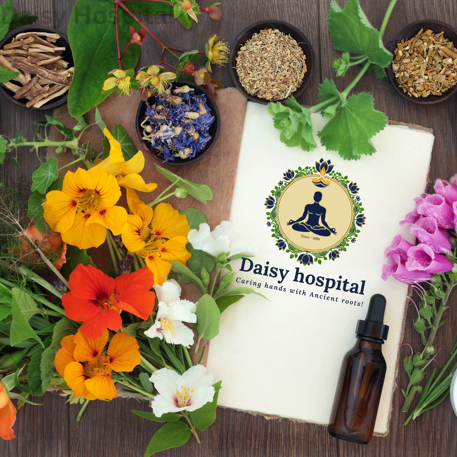 Natural Wellness & Organic Care
