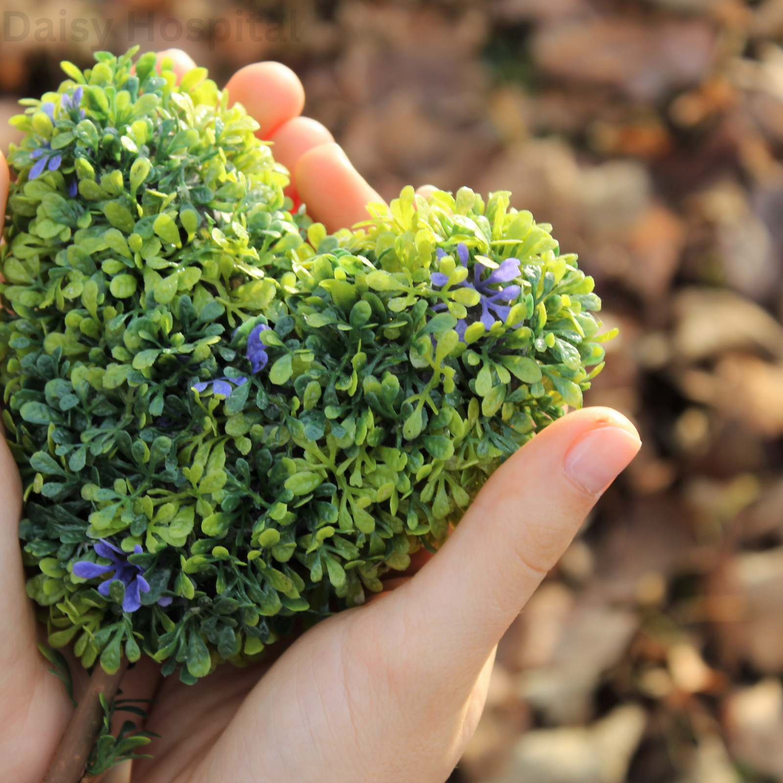 Integrated AYUSH Care Services