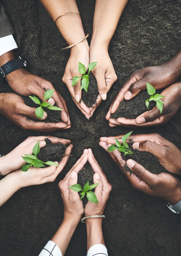 Integrated AYUSH Care Services