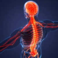 Ayush Integrated Hospital